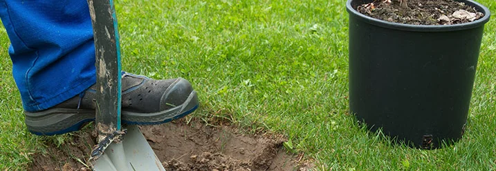 Person gräbt mit Spaten ein Loch für einen Baum.